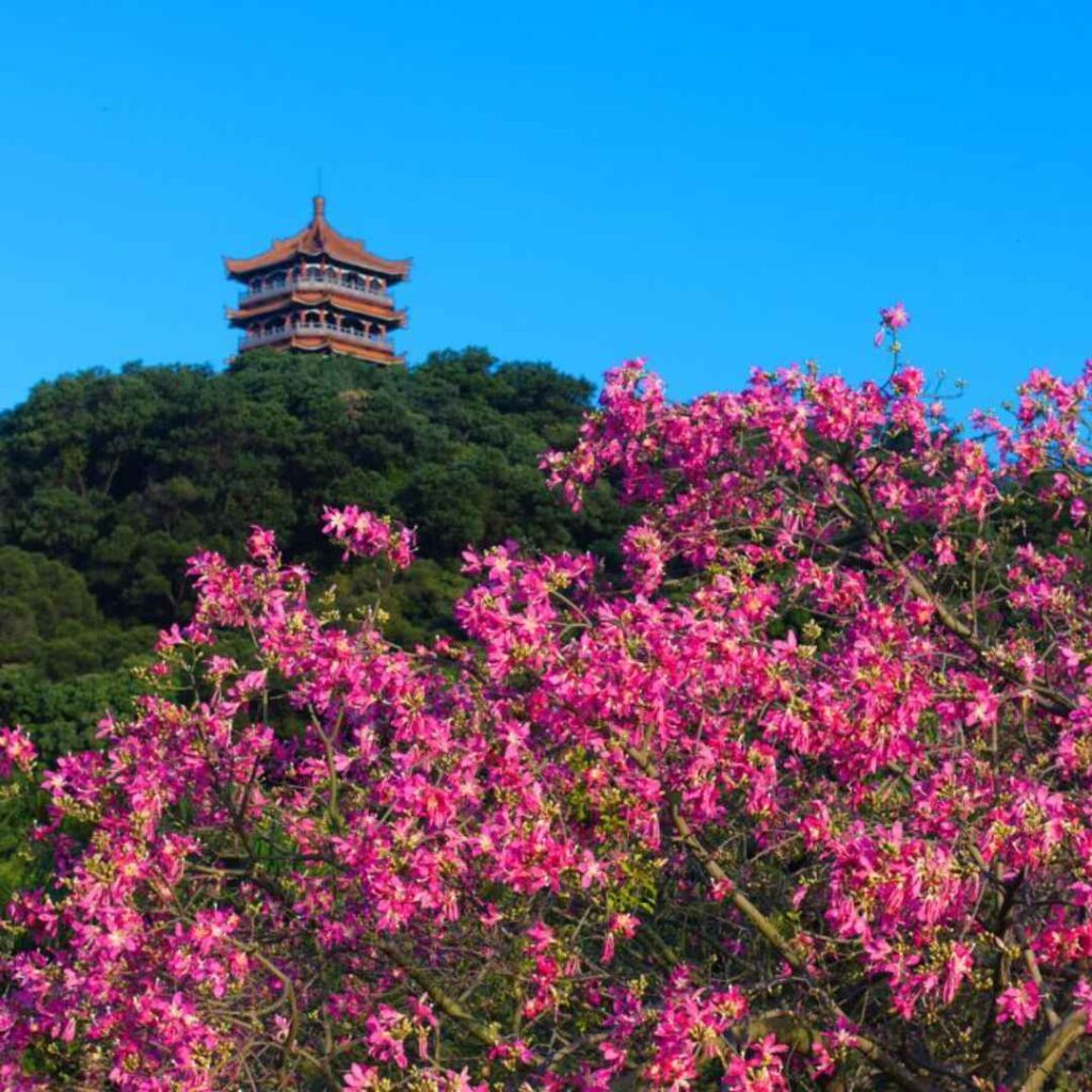 广州旅游景点：白云山