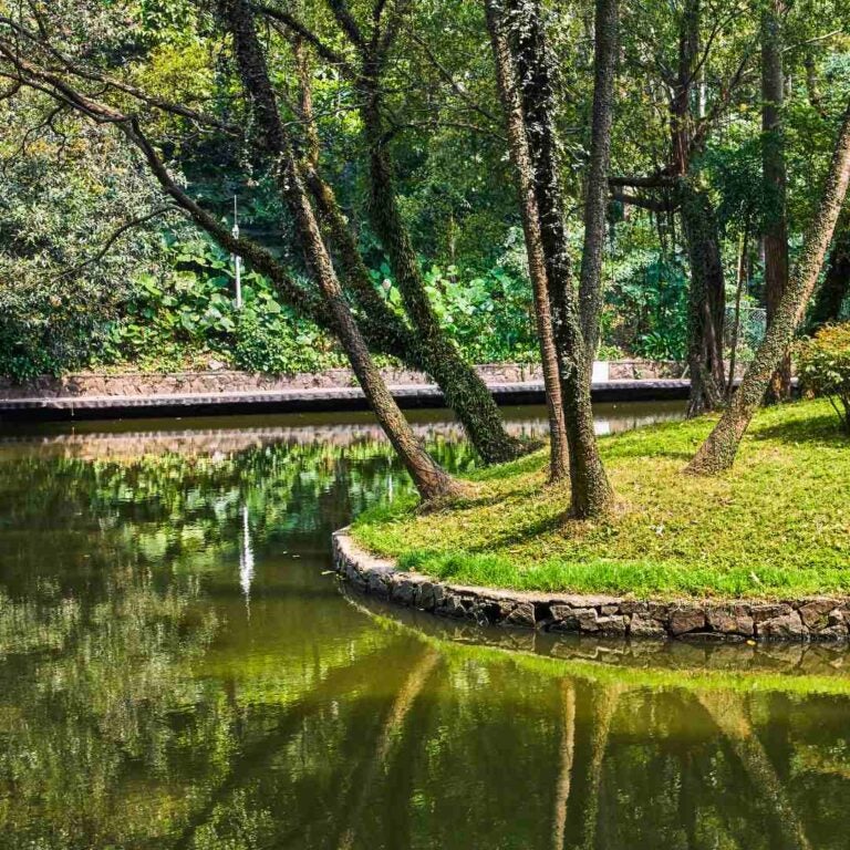 广州旅游景点:越秀公园