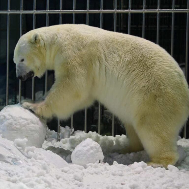 哈尔滨旅游:哈尔滨极地馆