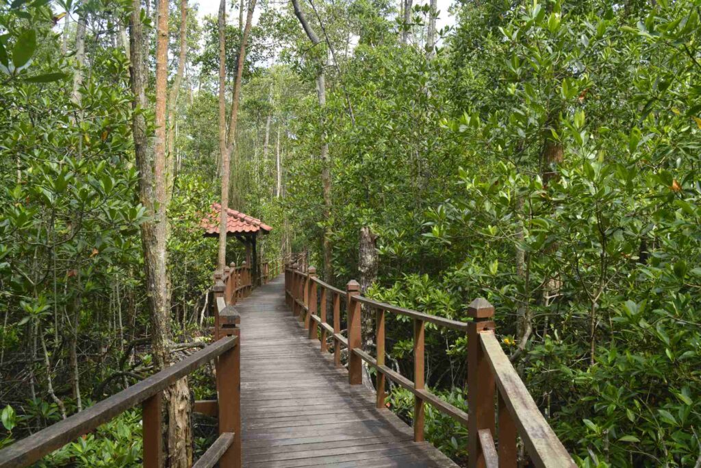Tanjung Piai