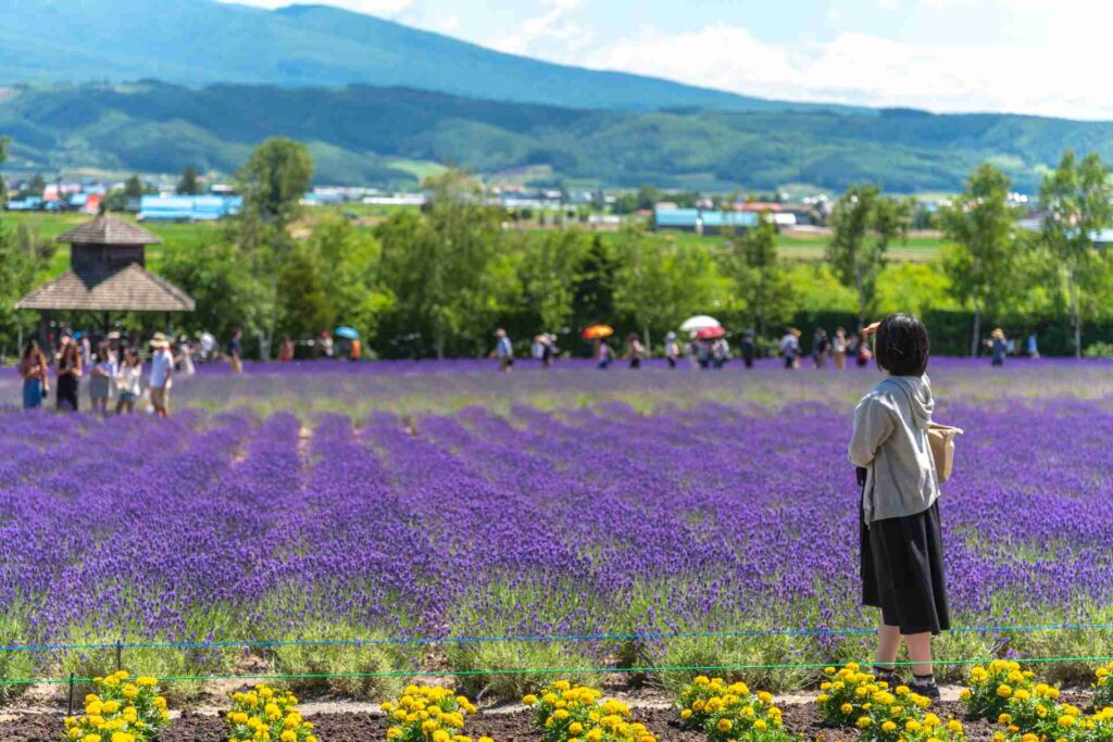 北海道