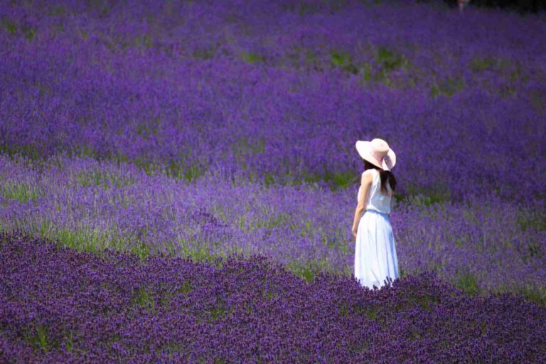 Top countries to visit in June