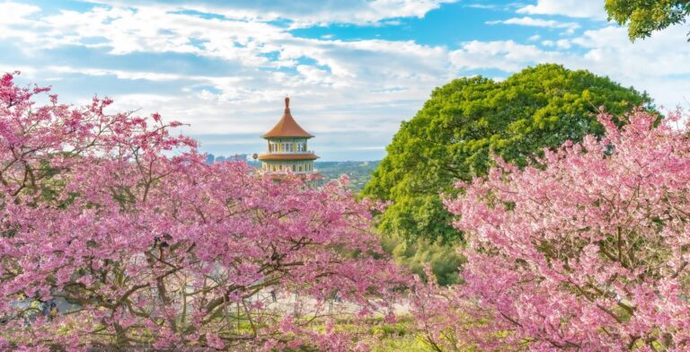 Travel taiwan internet