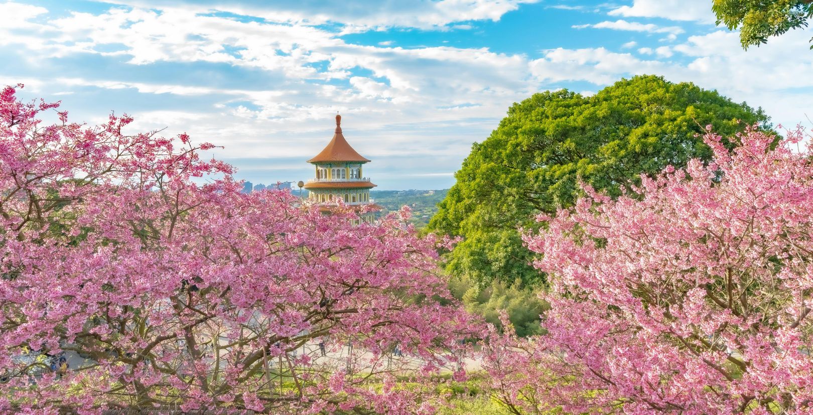 Travel taiwan internet