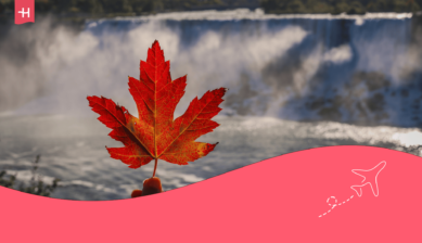 Person som holder et rødt blad foran Niagarafallene – som utvalgt bilde for en artikkel om internett i Canada.